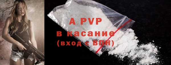 мяу мяу мука Беломорск