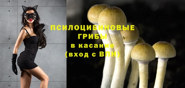 прущая мука Белокуриха