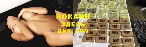 мяу мяу мука Беломорск