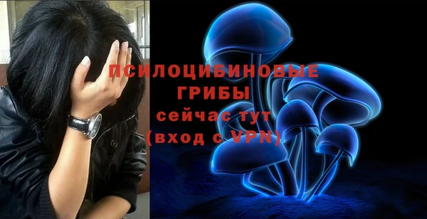 прущая мука Белокуриха